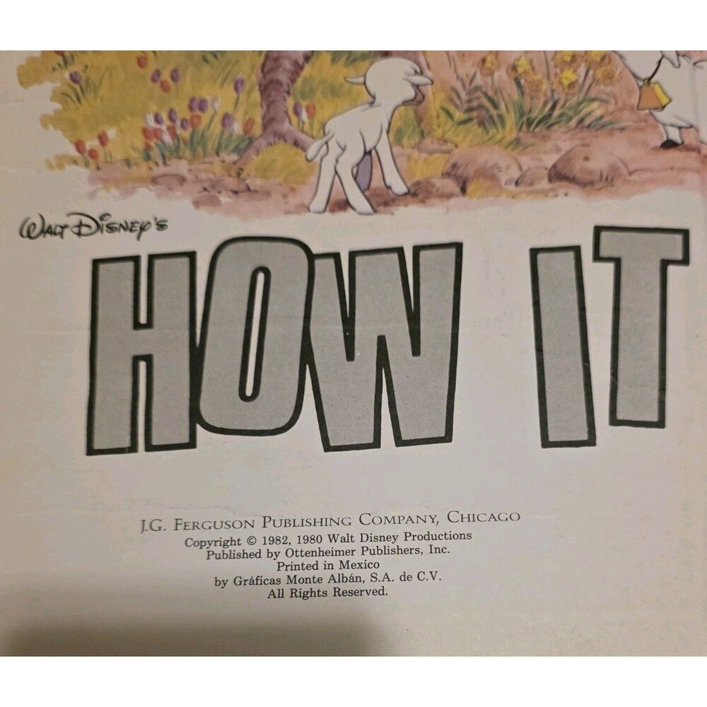 Walt Disney How It Works in the Country Hardcover 1982 Vintage - Picture 2 of 4